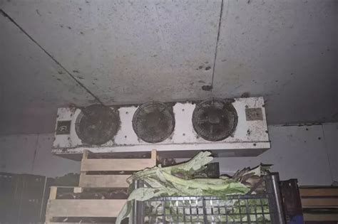 chiuso negozio versace reggio calabria